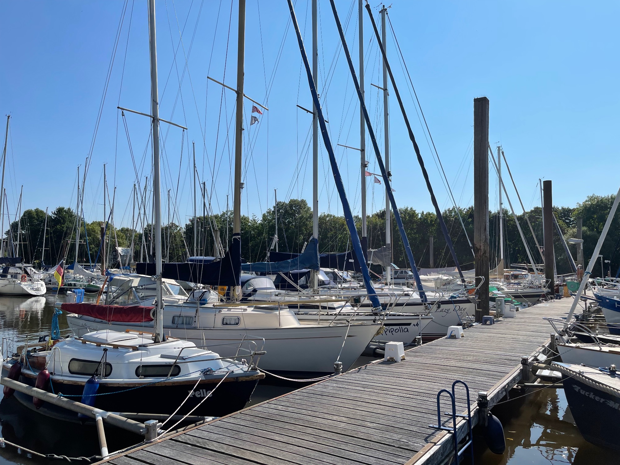 WVF Steg im Yachthafen Grohn